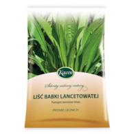 Babka lancetowata liść 50g KAWON