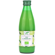 BIO PLANET Sok z Limonki NFC 100% BIO 250ml