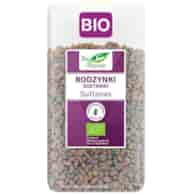 BIO PLANET Rodzynki sułtanki bezglutenowe BIO 400g